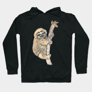 Adorable Sloth Hoodie